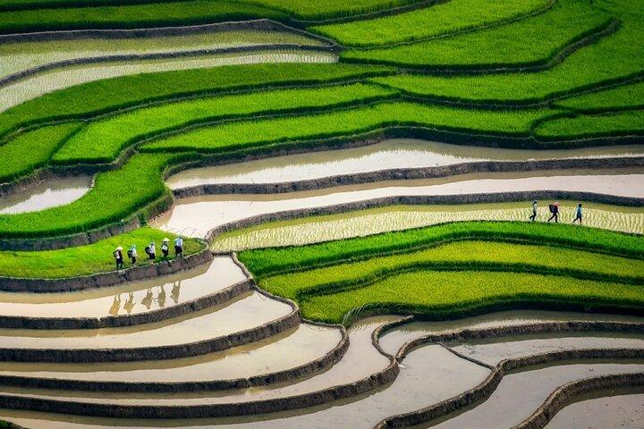6-Day Private Tour Mu Cang Chai and Sapa from Hanoi