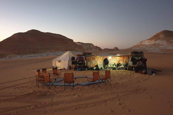 Wadi Al-Hitan Private Valley of the Whales Day Tour From Cairo