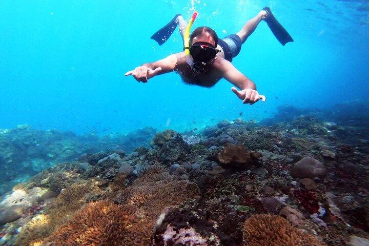 Nusa Penida 4 Spot Snorkeling with Manta and Island Tour