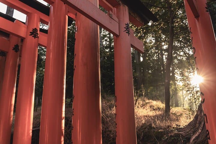 TREASURES of Kyoto: Fushimi Inari, Kiyomizu Temple, and more!