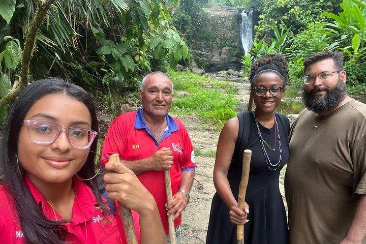 Cahuita National Park Nature Walk & Waterfall Tour