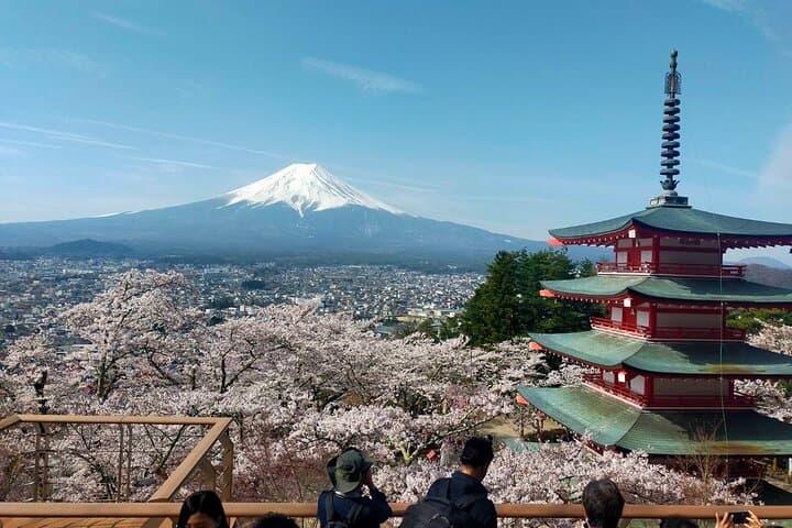 MT. FUJI/ Private Tour delivered and guided by a top-tier driver