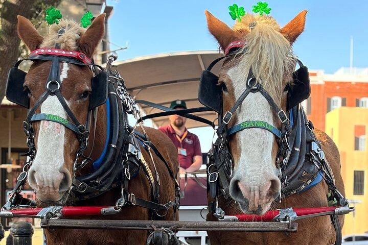 Horse Drawn Daytime Group Narrated Historic Overview Tour