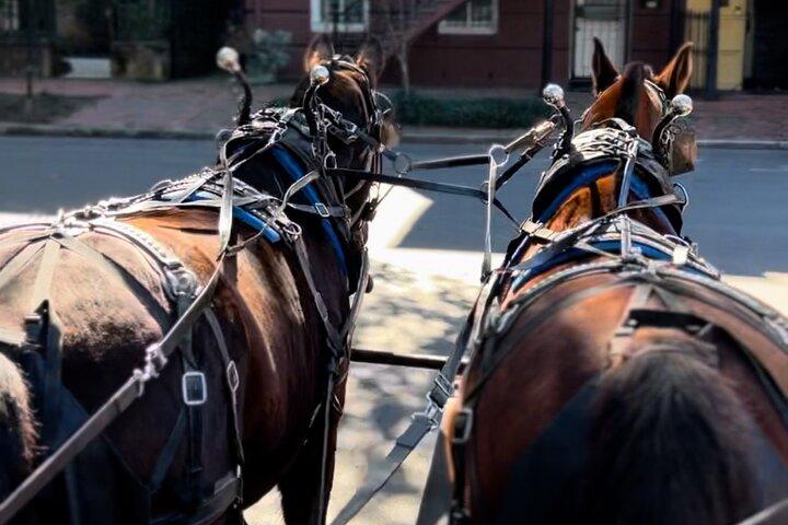 Horse Drawn Daytime Group Narrated Historic Overview Tour