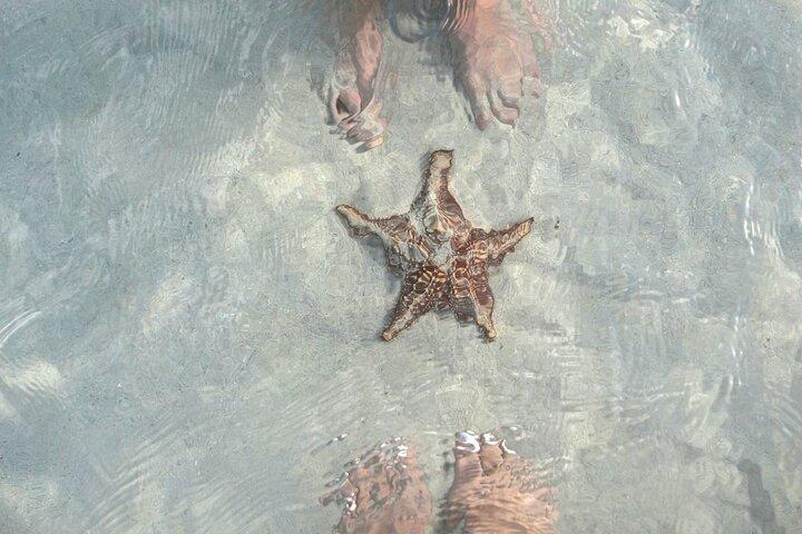 Cayman Combo Tour: Stingrays, Starfish Point plus Crystal Caves