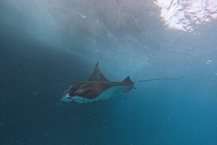 PRIVATE Nusa Penida on Boat Snorkeling & Island Tour (INCLUSIVE)