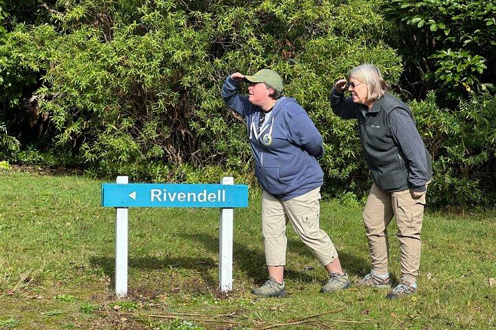 Wellington Lord of the Rings 6-8 hour Private Tour & Feast