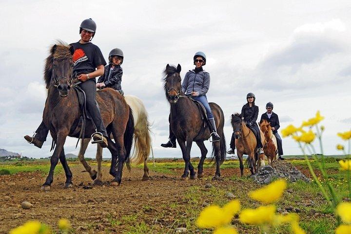 One-Hour Horseback Riding Tour in the Icelandic Countryside
