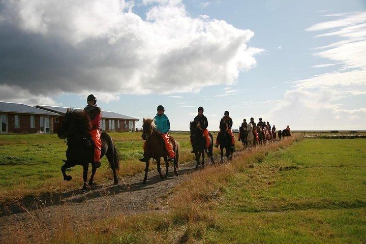 One-Hour Horseback Riding Tour in the Icelandic Countryside