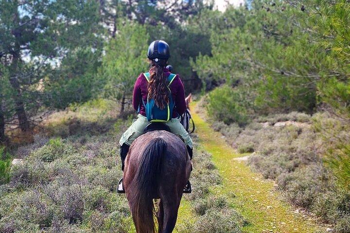 Lebanon Mountains Horseback Riding From Beirut