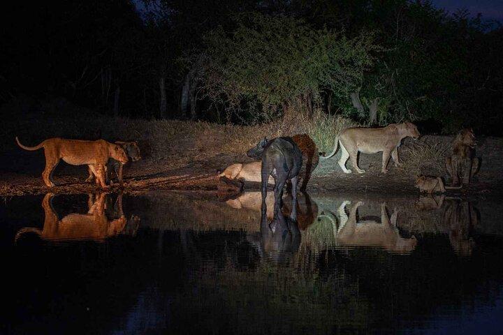5-day Night safari adventure across iconic Lake Manyara, Crater