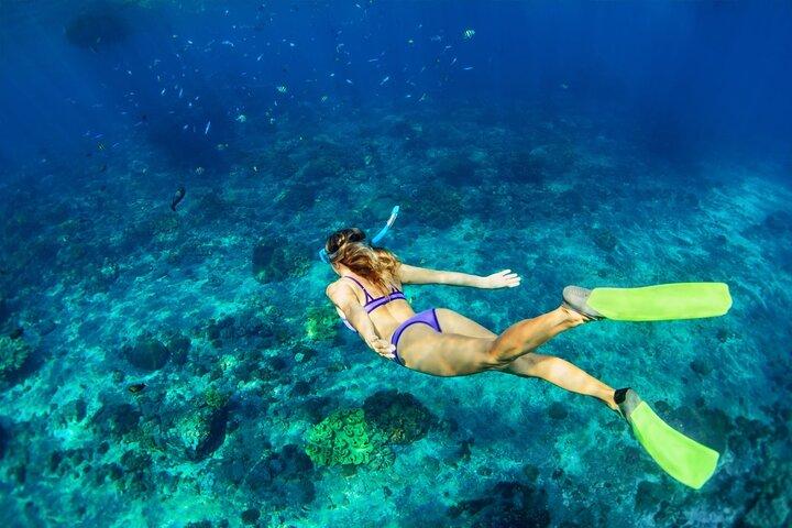 Bali Blue Lagoon Snorkeling and Waterfall Day Tour with Lunch
