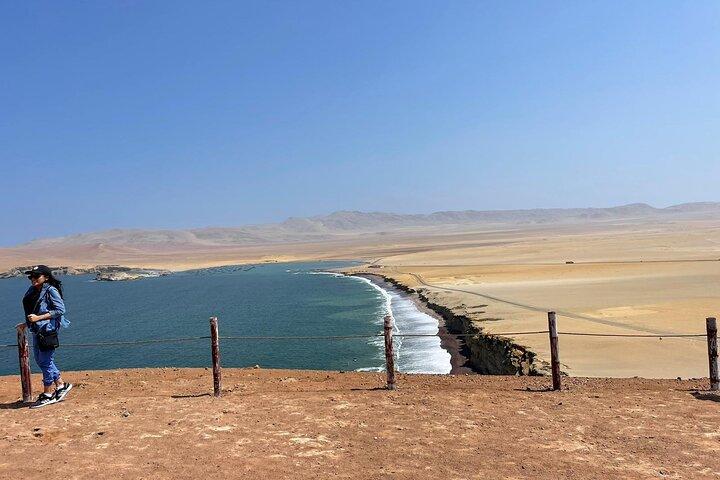 Paracas National Reserve by Tourist Bus