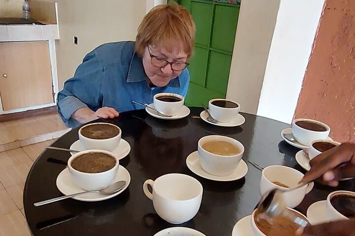 Kiambethu Tea Farm Tour (Thursdays to Sunday)