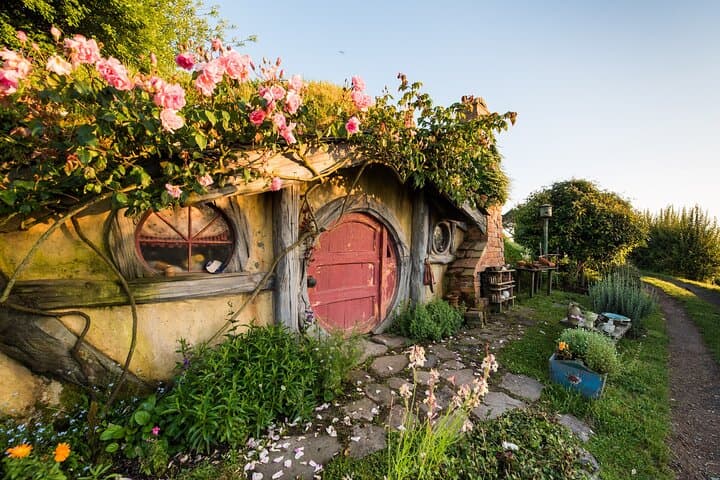 2 Day Tour Auckland to Hobbiton, Waitomo, Rotorua and Taupo