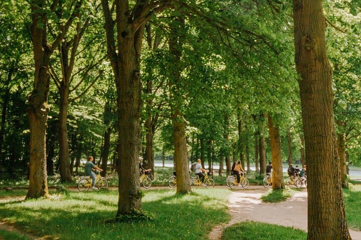 Versailles Domain Bike Tour with Palace Entry by Train from Paris