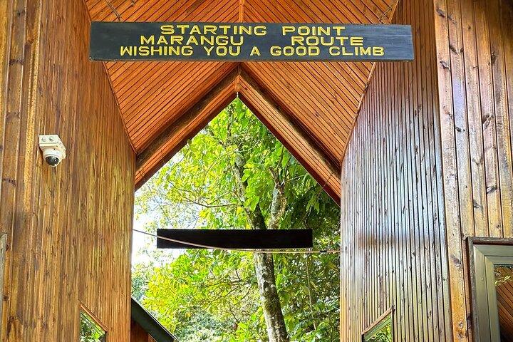 Kilimanjaro Day Hike from Arusha/Moshi | ISMANI TOURS AND SAFARIS