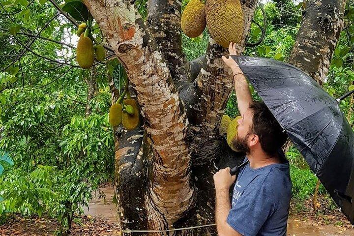 Full Day Private Stone Town, Spice Farm & Prison Island Tour