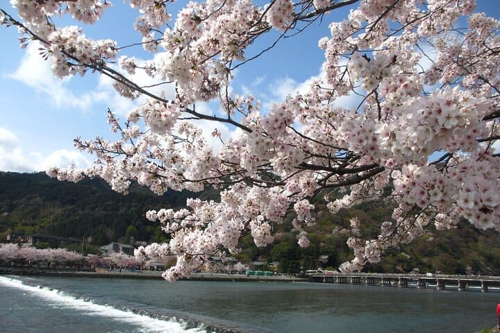 Kyoto Bus Tour: Arashiyama, Kinkaku-ji, Fushimiinari Shrine