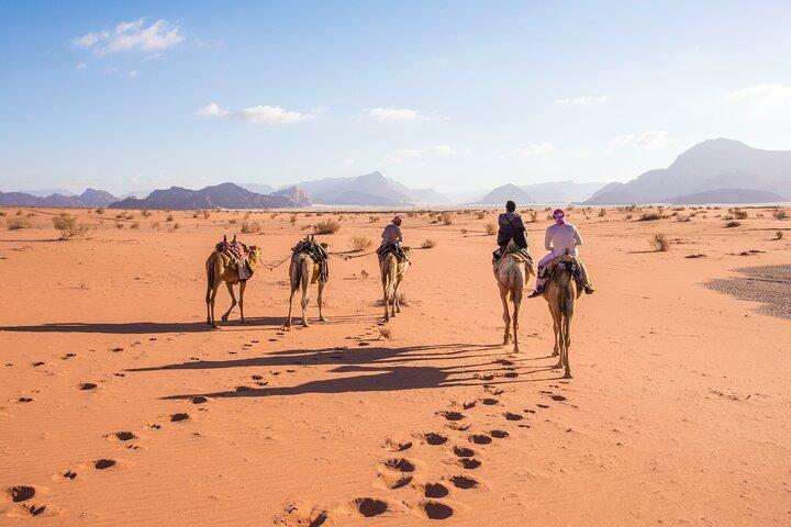 From Aqaba: Private Full-Day Wadi Rum and Petra Tour