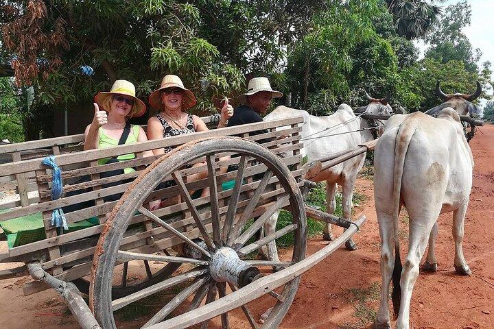 Cambodian Cooking Class and Oxcart Ride with Local Village Tour