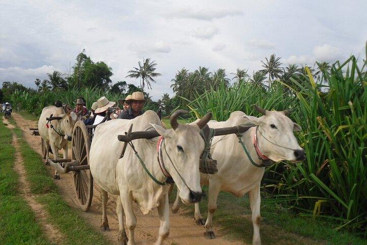 Cambodian Cooking Class and Oxcart Ride with Local Village Tour