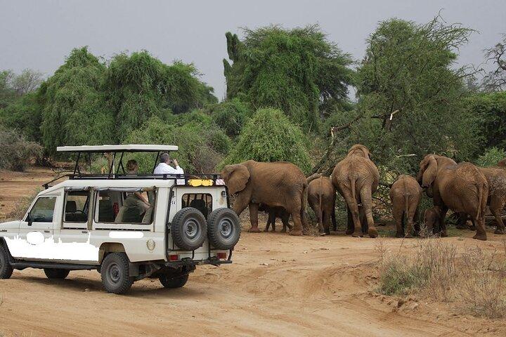 3 Days Samburu National Park Safari All Inclusive