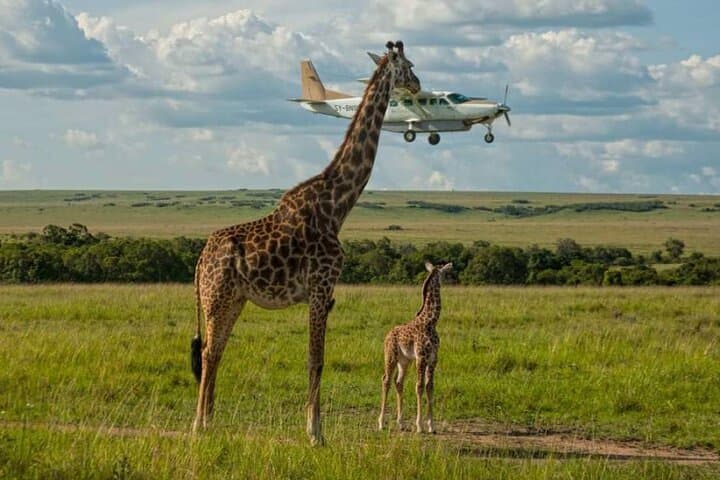 3-Day Masai Mara Flying Luxury Lodge Private Safari
