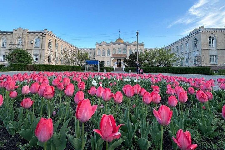 Private & Group Bishkek City Tour : History, Culture & Architects