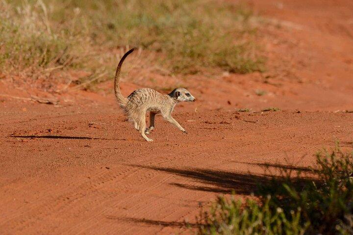2-Day Mid-Range Safari to Tarangire & Ngorongoro Crater