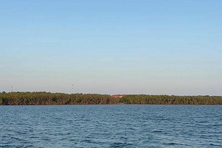 Can Gio Monkey Island and Mangrove Biosphere Full-Day Tour