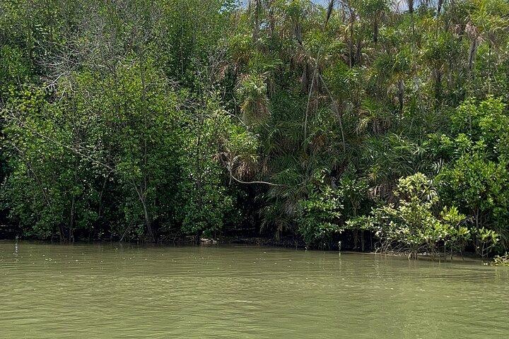 Can Gio Monkey Island and Mangrove Biosphere Full-Day Tour