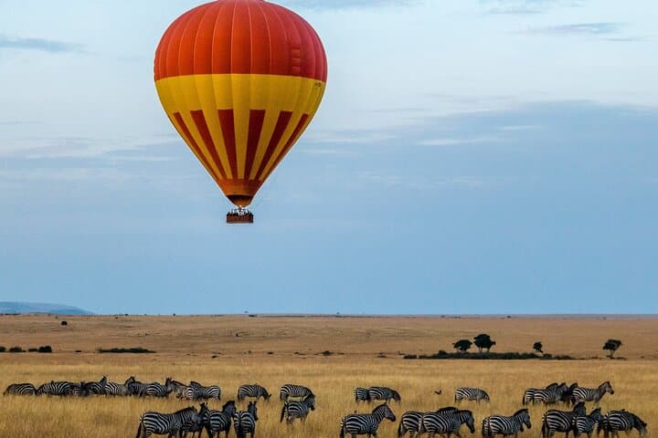 6 Days Private Tour of Masai Mara Lake Nakuru and Amboseli Safari