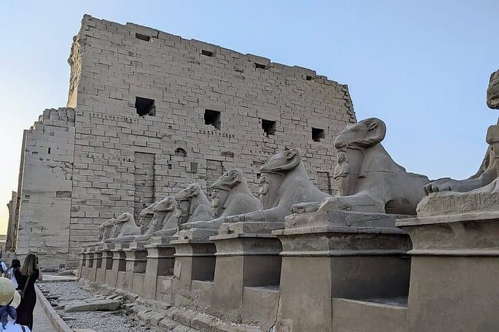 Day Trip to Luxor from Cairo by plane including King Tut & Lunch