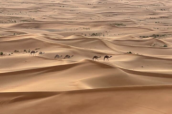 Dubai Red Desert Safari on Private 4x4, Sand Boarding, Camel 4hrs