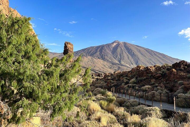 Tenerife Grand Tour: Including Teide National Park and Masca