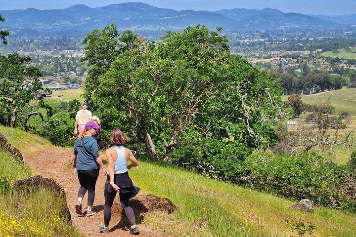 Napa Valley Redwood Hike