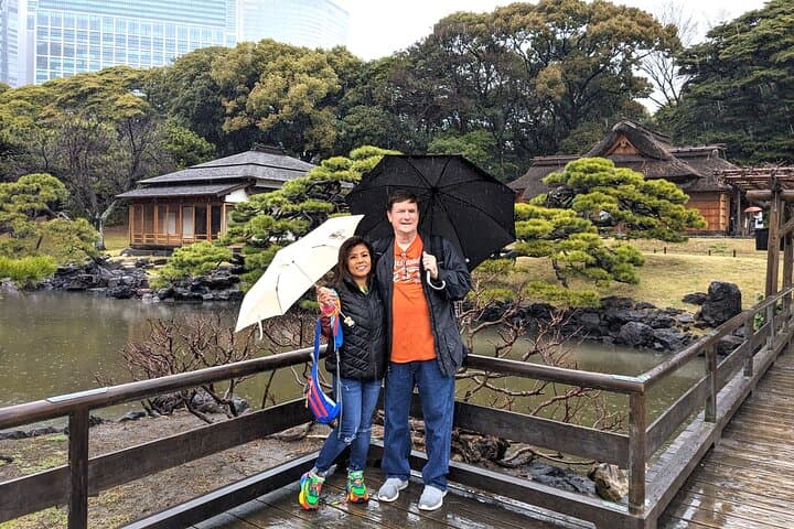 Private Customizable Car and Mini Van Tour in Tokyo