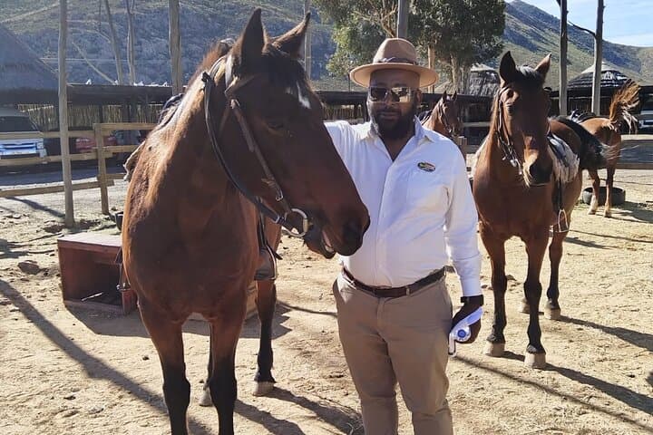 Big Five Safari with Lunch and Wine Tasting Experience