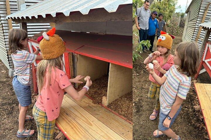 Experience: Organic Coffee, Avocados, Honey & More!