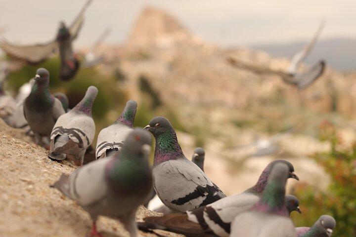 Cappadocia Private Guided Tour(Car&Licensed Guide)