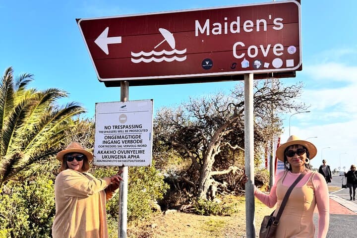 Table Mountain, Bo Kaap, Penguins &Muizenberg Beach Half Day Tour