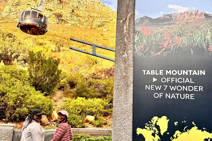 Table Mountain, Penguins & Muizenberg Beach Private Half Day Tour