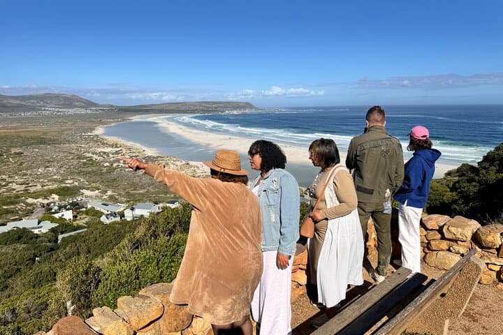 Table Mountain, Penguins & Muizenberg Beach Private Half Day Tour