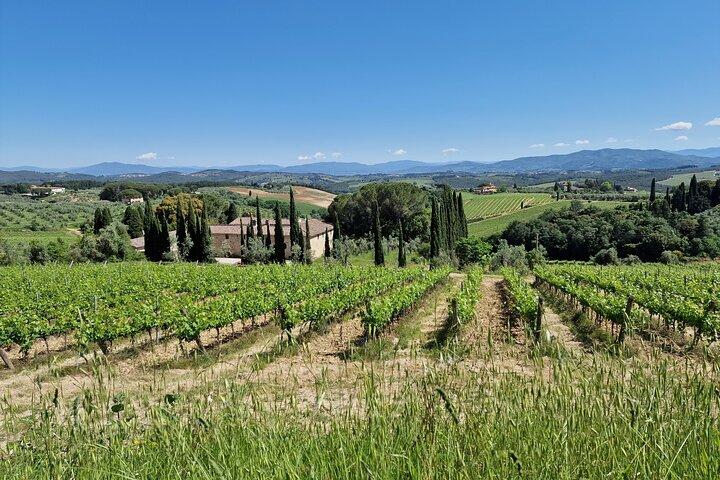 Private Wine Tour in Tuscany Florence Limo Service English driver