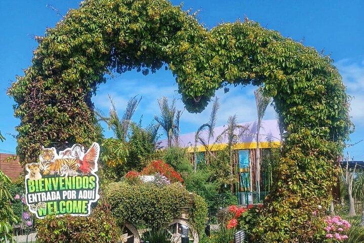 Pai Pai Animal Park: Private Ride and Ticket Assistance