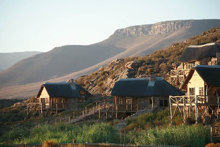 Big 5 game Reserve Safari with Lunch and Wine tasting