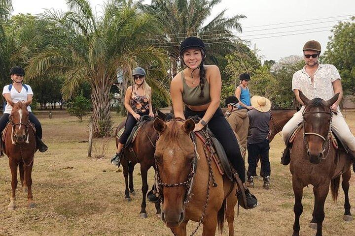 Private Multiday Tour to Panatal with Pickups