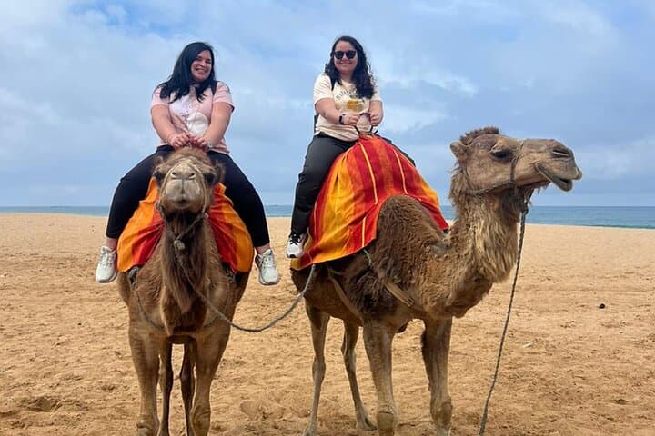 Exlusive Private Tangier Full Day tour with Official Guide