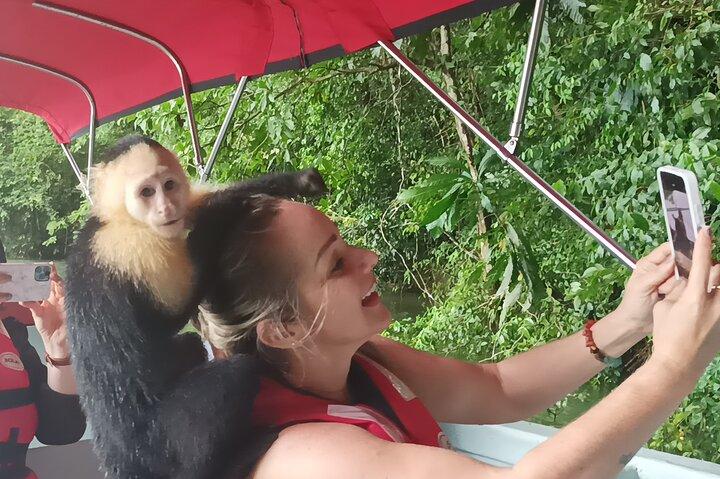Gatun Lake: Monkeys & Exotic Wildlife by the Canal